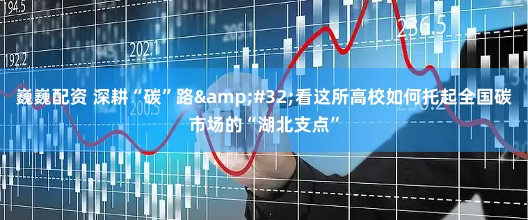 巍巍配资 深耕“碳”路 看这所高校如何托起全国碳市场的“湖北支点”